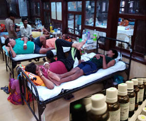 dengue prevention: you will use these Homeopathic medicines