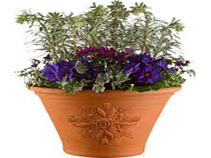 now warm welcome of guest will not be with artificial flowers