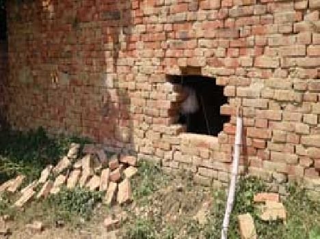 Theft in two houses