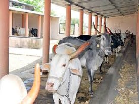 The village became PM Byre 'Kaushala'