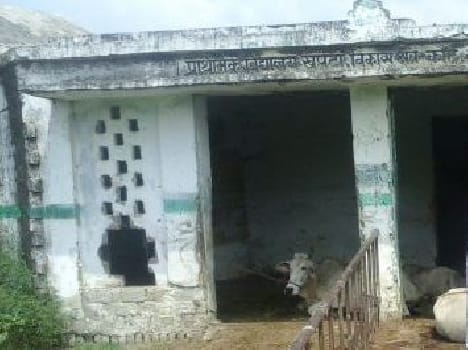 Biio irregularities found in schools