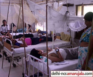 three more people died from dengue in capital