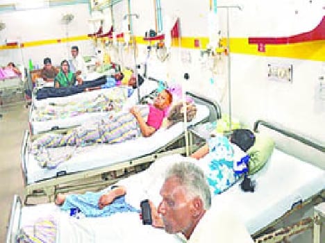 dengue fever meerut