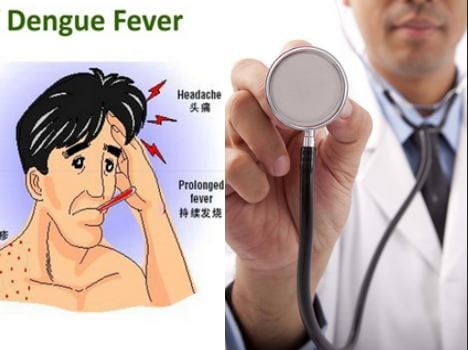 relief for public, dengue test fee fixed in chandigarh