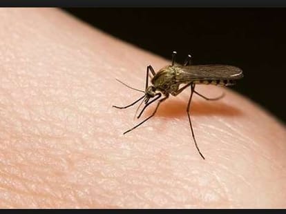 relief for public, dengue test fee fixed in chandigarh