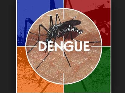 dengue fever increase his shape in lucknow