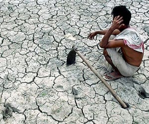 50 districts drought effected declared.