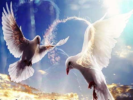 acharya sriram sharma thought on world peace day 