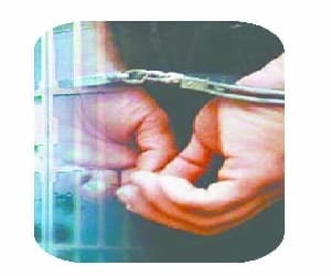 17 cattle rescued, two person arrested