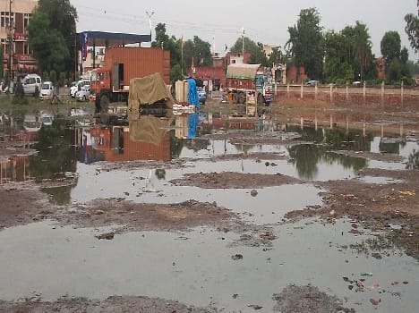 eight more case of dengue found in ambala