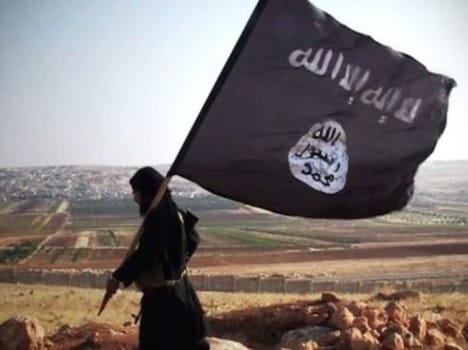 islamicstate defectors report