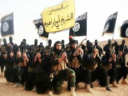islamicstate defectors report