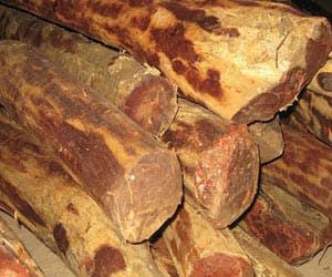 international smuggler arrest with 90 carore sandalwood