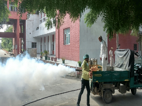 City to protect themselves from dengue remain supine.