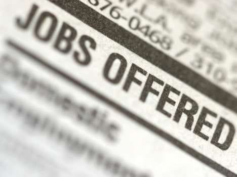 jobs in hindustan salts limited