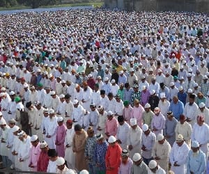 Celebrated Eid-Milad-un-Nabi