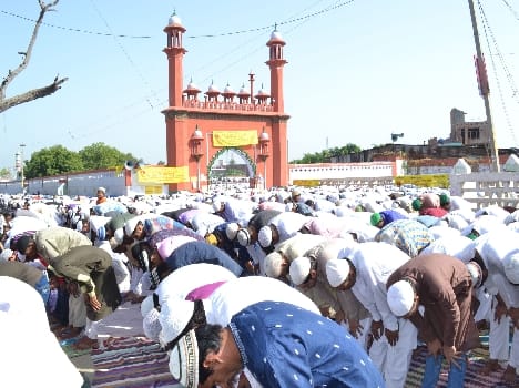 Purkhulus environment read The Bakri Eid prayers