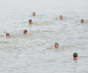 seven dead bodies found in Ganga in Kanpur.