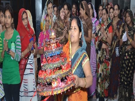 FLOWERS HOLI CELEBRATE
