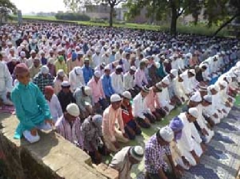 The sacrifices in the way of Allah