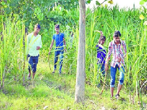 searching missing boy in jungle