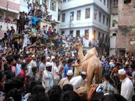The camel sacrifice in monitoring of the police