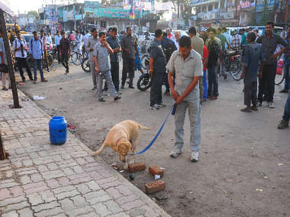 rumour of bomb in bag in mohali outside Scl