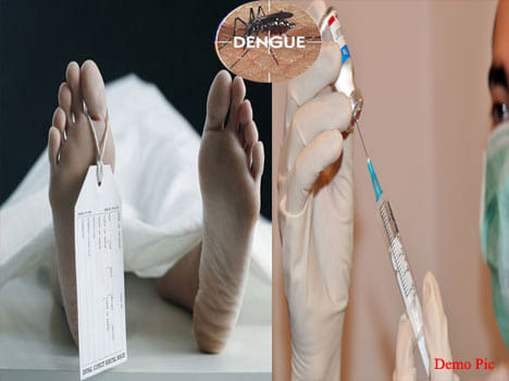 Three dead due to dengue.