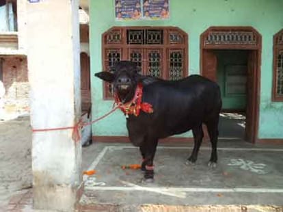 tension in uttar pradesh allipur village