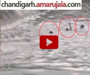 video: 3 young man drowned in canal during ganesh immersion