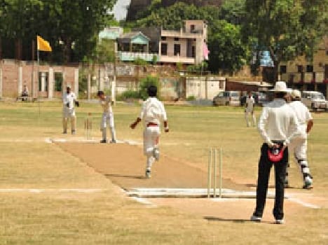 cricket