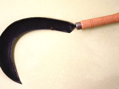 man attacked on private organs of his wife to kill her