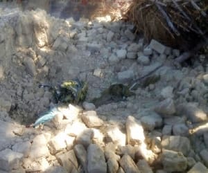 accident, lenter, punjab, pathankot