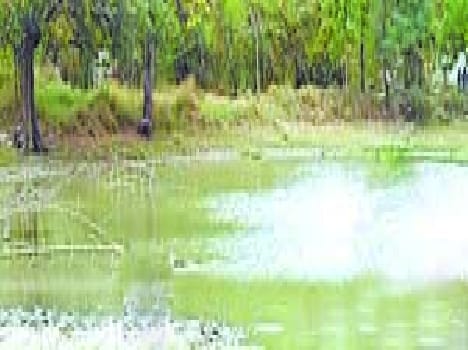 Recently unsolved death of a child from drowning in a pond