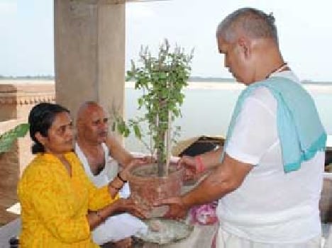 In Memory of ancestors resolution of rising plant