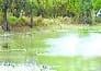 Check dam in Dharati and baruti