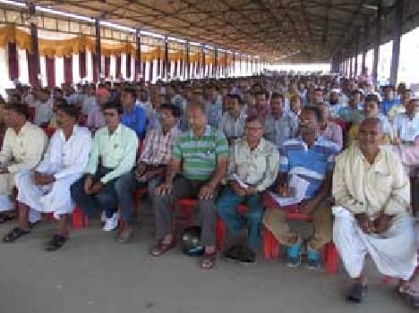 ballot will be pink of District Panchayat member 