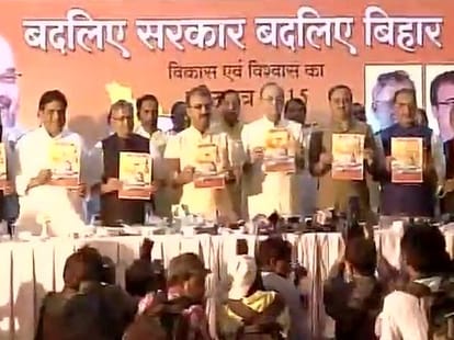 BJP released vision document for bihar election