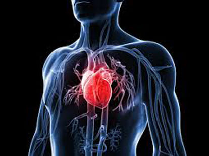 now heart beat can be knwon from one meter
