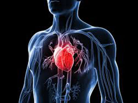 Now treatment cost of heart eilment to come down