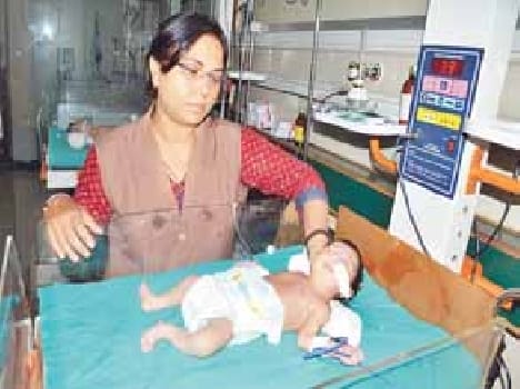dengue fever meerut