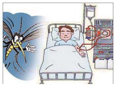 The young man died during treatment of dengue victims