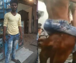 a muslim man save life of a cow in up
