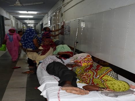1077 dengue pasent in rohtak city