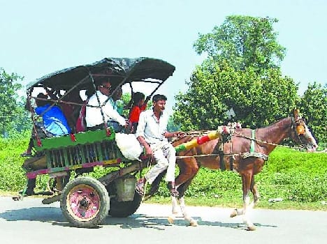 Nepal operational Tangon