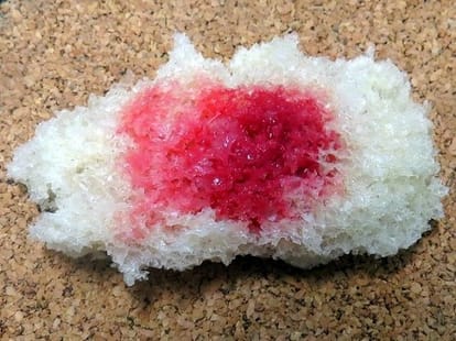 10 Shocking Experiments Done In The Name Of Science