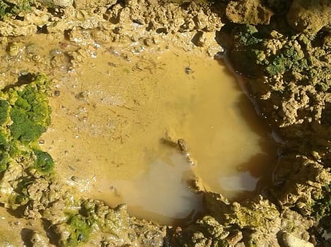 Clean the tank every other house in the village flourishing larvae