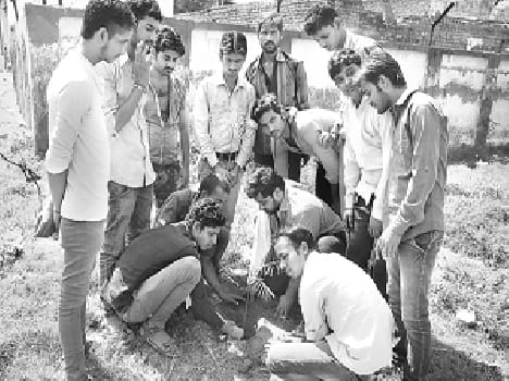 plantation in Police line 