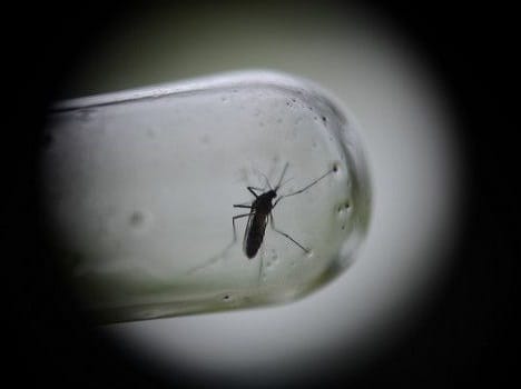 Dengu become an International disease, 120 conutries affected