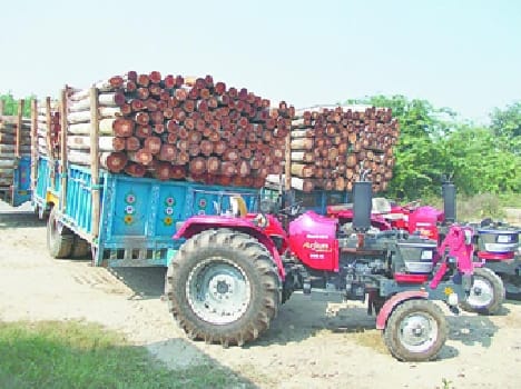 Popular on the supply stopped falling prices